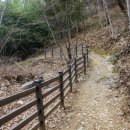 함안 명관리 공룡발자국 | 겨울나기 산행 함안 백이산 공룡발자국