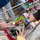 스테이 더 딜라잇 이미지