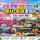 밤빛 | 군포·안양·의왕·안산·수원 행사·축제 총정리｜주말 나들이 추천 코스
