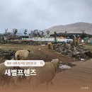 새별 | 제주 서쪽 아기랑 실내 갈만한곳 새별프렌즈 겨울 솔직후기
