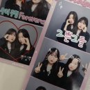 고양이나라 이미지