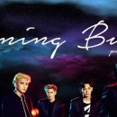 미친 넷플릭스 결제됐네 나?!?! 이거 취소못하비ㅠㅠ 이미지