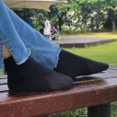 단목상회 이미지