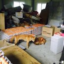 현기농장 이미지