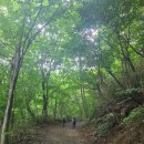 큰꽃지천 | [등산] 지리산 벽소령 대피소