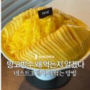 망고네스트