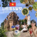 온누리항공투어 | 온누리투어 나트랑,달랏 가족여행 후기[항공,식사,숙소,환전,픽업]솔직후기