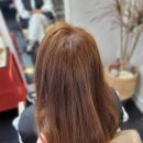 헤어리아 이미지