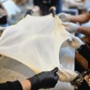 다래농장 | 충북 청주 아이와 가볼만한곳! 다래목장 스트링치즈 만들기 &amp; 젖소 배우기 체험 후기