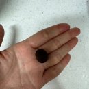 행복한한의원 | [대전 동구] 효동 행복한 한의원