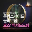 지장2천 | 룸익스케이프 올리브점 입문자용 올장치방 오즈: 익시드드림 신촌방탈출 후기