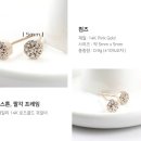 민트컴즈 이미지