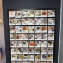 톡바른경희한의원 이미지