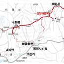 코오롱스포츠정태은 이미지