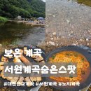 서원마트 | 대전 근교 계곡 추천ㅣ보은 서원계곡 자리 선점 실패 후 찾은 2분 거리 취사 가능 계곡