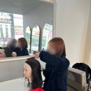 제일헤어아트 - 원주시 | 제일헤어아트