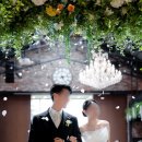 보라가든 - 서천군 | [본식스냅 후기]로프트가든344, 사진보라 후기