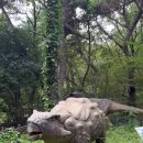 청룡카랜드 Daum카페