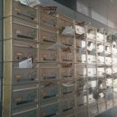 대박게임장 이미지