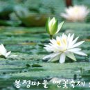 봉정마을영농조합법인 네이버블로그