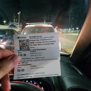 🇲🇹몰타여행 5박6일 | 사기당할 뻔한 렌트카 타고 몰타여행 고조섬 가기!🚘🚗