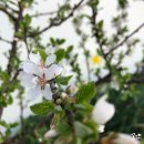 한국지엠북구바로서비스 이미지