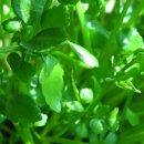 송곡주유소 이미지