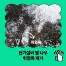 학의천변(한전방향) | 전기 설비 옆 나무 위험목 제거