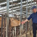 한우사육농장 이미지