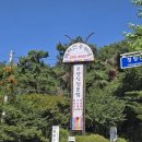 박터진 흥부네 이미지