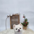 강남미용재료 이미지