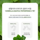 로이코스메틱 이미지