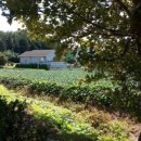 회령5일시장 이미지