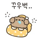 해피애견타운강아지분양서울본점 말티푸 미니비숑프리제 포메 이미지