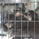 안기고물 이미지