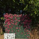 삼달신풍로 | 제주 겨울 여행 아이랑가볼만한곳 제주실내관광지 고흐의 정원 내돈내산 솔직후기