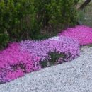 내 마음속 작은 다락방 이미지