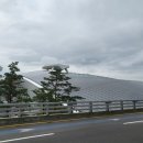 우수영동물병원 네이버블로그