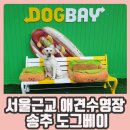 도그베이 수원 이미지