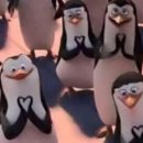별빛조명