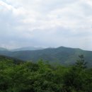 부남면009 Daum카페