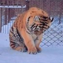 FACE안경원 이미지