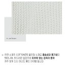 후라밍고 Daum카페