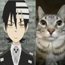 주식회사 내일날씨 | 이상한일이많이일어나네