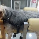 손수의과병원 이미지