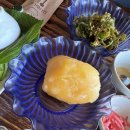 칠암거북 이미지