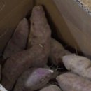 지리마을축산 이미지