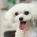 문화동물병원 이미지