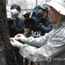 오대산연지펜션 이미지