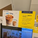 새로 생긴 부산역빽다방 초량카페추천 / 간 얼음 옵션 변경 가능